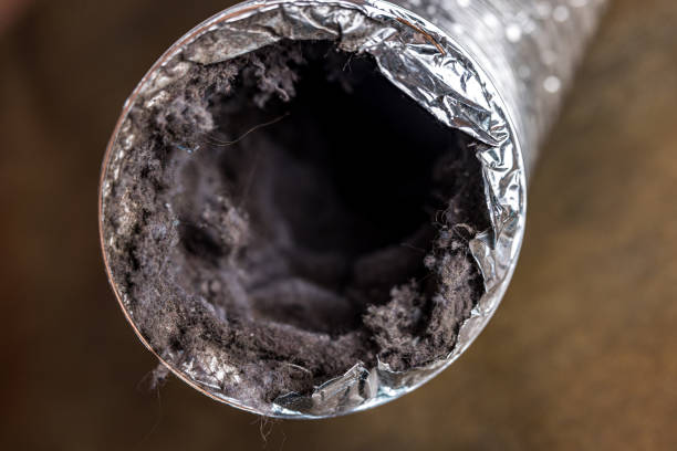 Best Home Air Vent Cleaning  in Richlands, VA